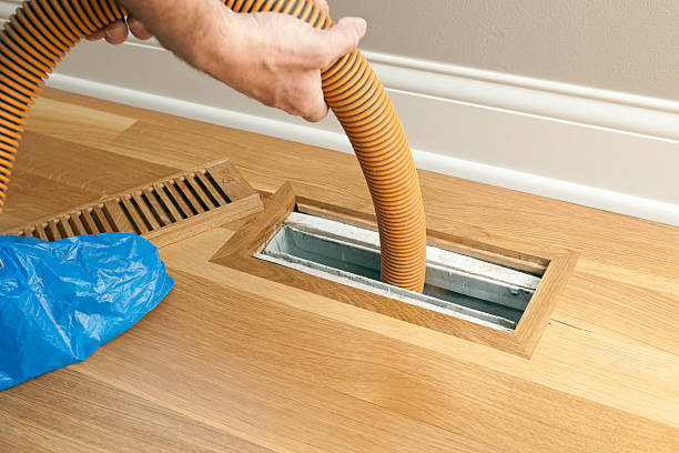 Best Local Air Duct Cleaning Services  in Citronelle, AL