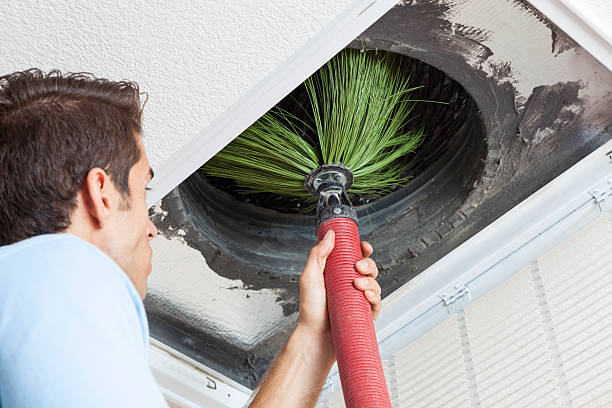 Best HVAC Air Duct Cleaning  in Citronelle, AL