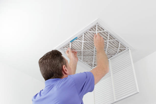Best Affordable HVAC Duct Cleaning  in Citronelle, AL